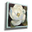Impression sur toile «Aaratrika Magnolia II» par Carol Rowan-1031956324