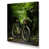 Wrapped Canvas
