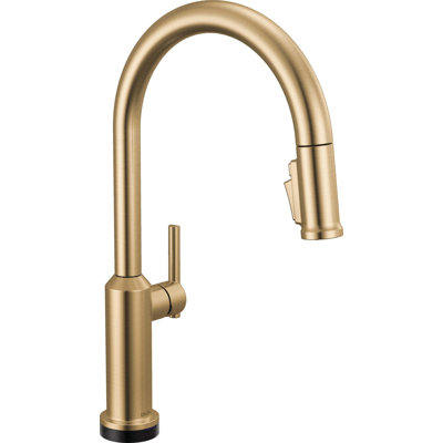 Touch2O Technology Kitchen Faucet with Touchless Technology