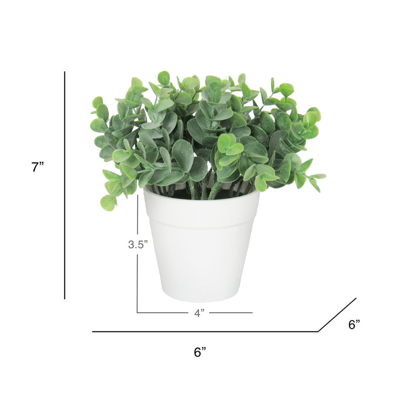 Eucalyptus artificiel 3,5 po en pot, Blanc
