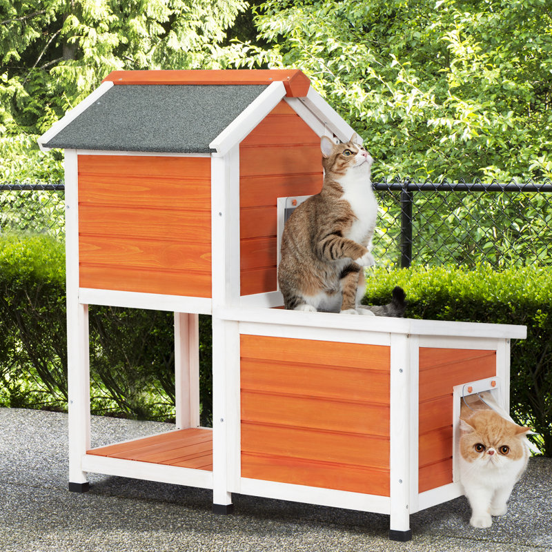 Maison pour chat Fadhel