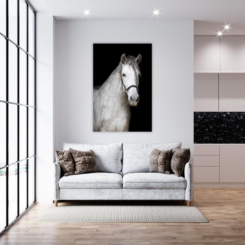Cheval rêveur - photographie non encadrée, H 20 po x l 16 po