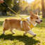 Gilet ajustable pour animal de compagnie, jaune-131215229