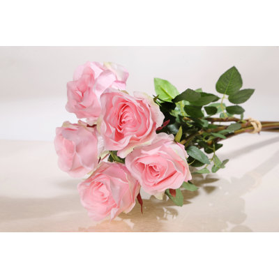 Large bud Rose