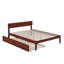 Lit plateforme avec lit gigogne Akiva-104577479-108446569