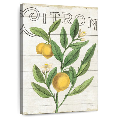 Yarlin Classic Citrus I Shiplap