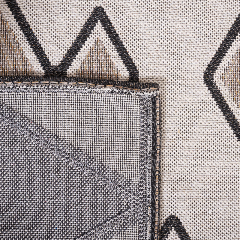 Bonilla-Alfanador Southwestern Indoor/Outdoor Rug, Rectangle 4' x 6'