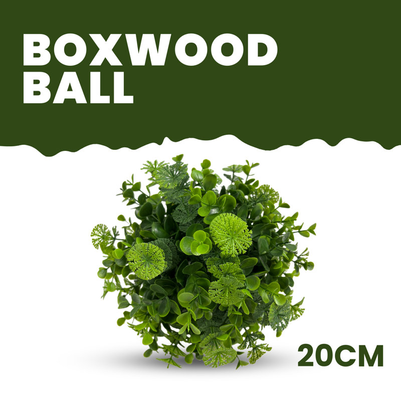 7.5 Inch Boxwood Ball No Pot Included