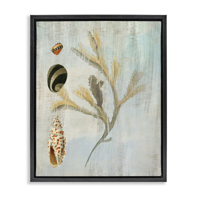 Cadre flottant mixte coquillages et corail, design par Susan Arnot