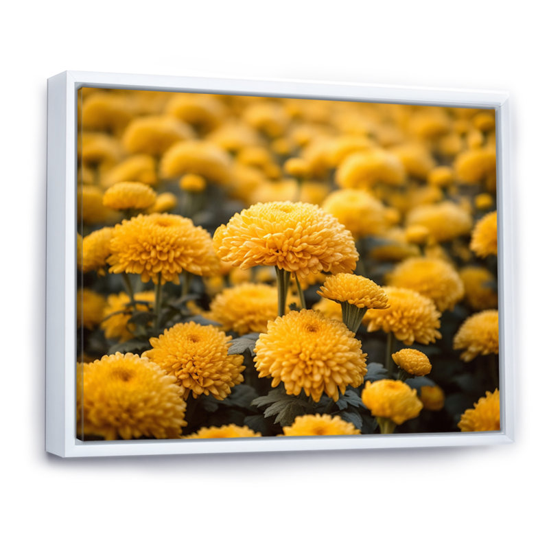 «Yellow Mums in Bloom II» sur toile, H 34 po x l 44 po x P 1,5 po, Cadre flottant blanc