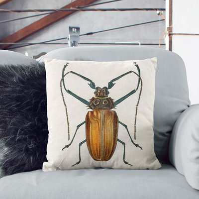 Square Cushion