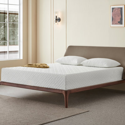 Barrentine 8'' Medium Memory Foam Mattress
