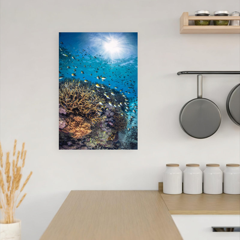 Sunlit Coral Reef Peaceful Serene Vibrant Fish Nature Ocean Wall Art Print 1 Piece Wrapped Canvas Wall Art