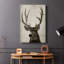 Colorado Buck - Cavas enveloppés de galerie-1547488874