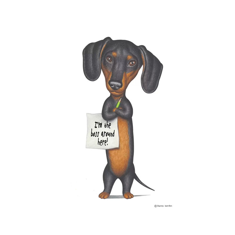 Dachshund I'm The Boss by Danny Gordon - Wrapped Canvas Print