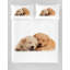 Ensemble de housse de couette So Cute-32999691