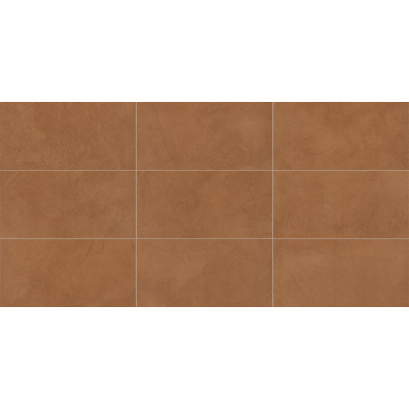 Carrelage de sol en porcelaine 12 x 24 Dolorile Indoterra avec technologie Stepwise (9 pièces par carton) (17,02 pieds carrés par carton)