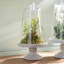 Laurent Cloche Small-1702263738