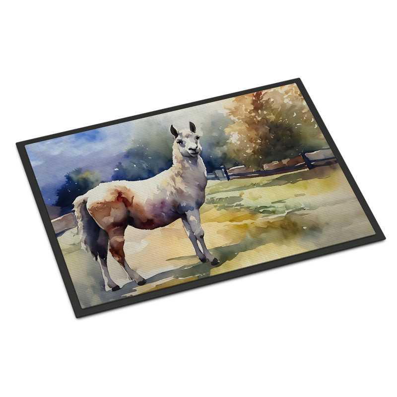 Lureatha Non-Slip Doormat, l 24 po x L 36 po