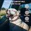 Collier ajustable pour chien en microfibre