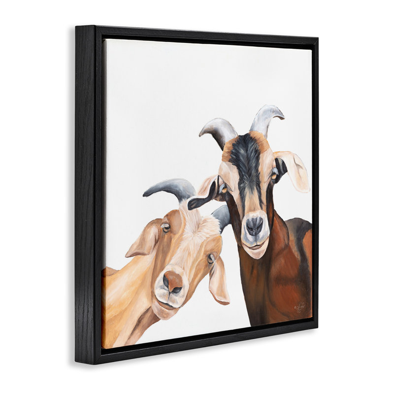 Chèvre heureuse, animaux souriants, H 18 po x l 18 po, Cadre flottant noir de jais