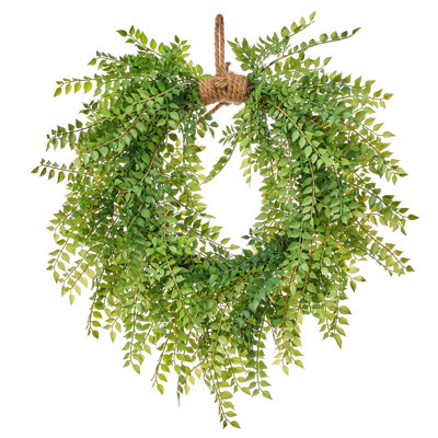 Couronne 24 po Ruscus