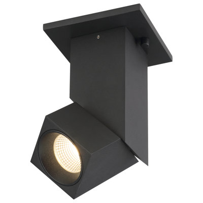 Transformer Dual Voltage Adjustable LED Spotlight - Black Finish