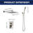 Rain Shower Head Systems Wall Mounted Shower