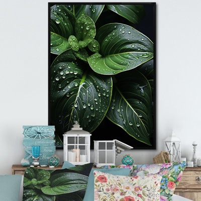 Raindrop Over Green Leafs - Floral & Botanical Canvas Prints