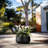Renfrew Handmade Pot Planter-649504144-628894704