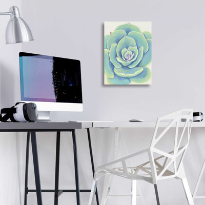 «Pastel Succulent IV» par Tim O'Toole