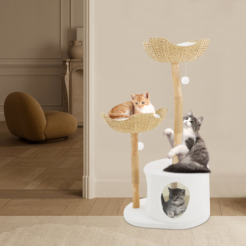Grattoir pour chat et nid