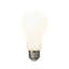 Visual Comfort & Co. LED A19 shape 11W E-26 Medium base Frosted light bulb-1678759296-1678759298-1706699919