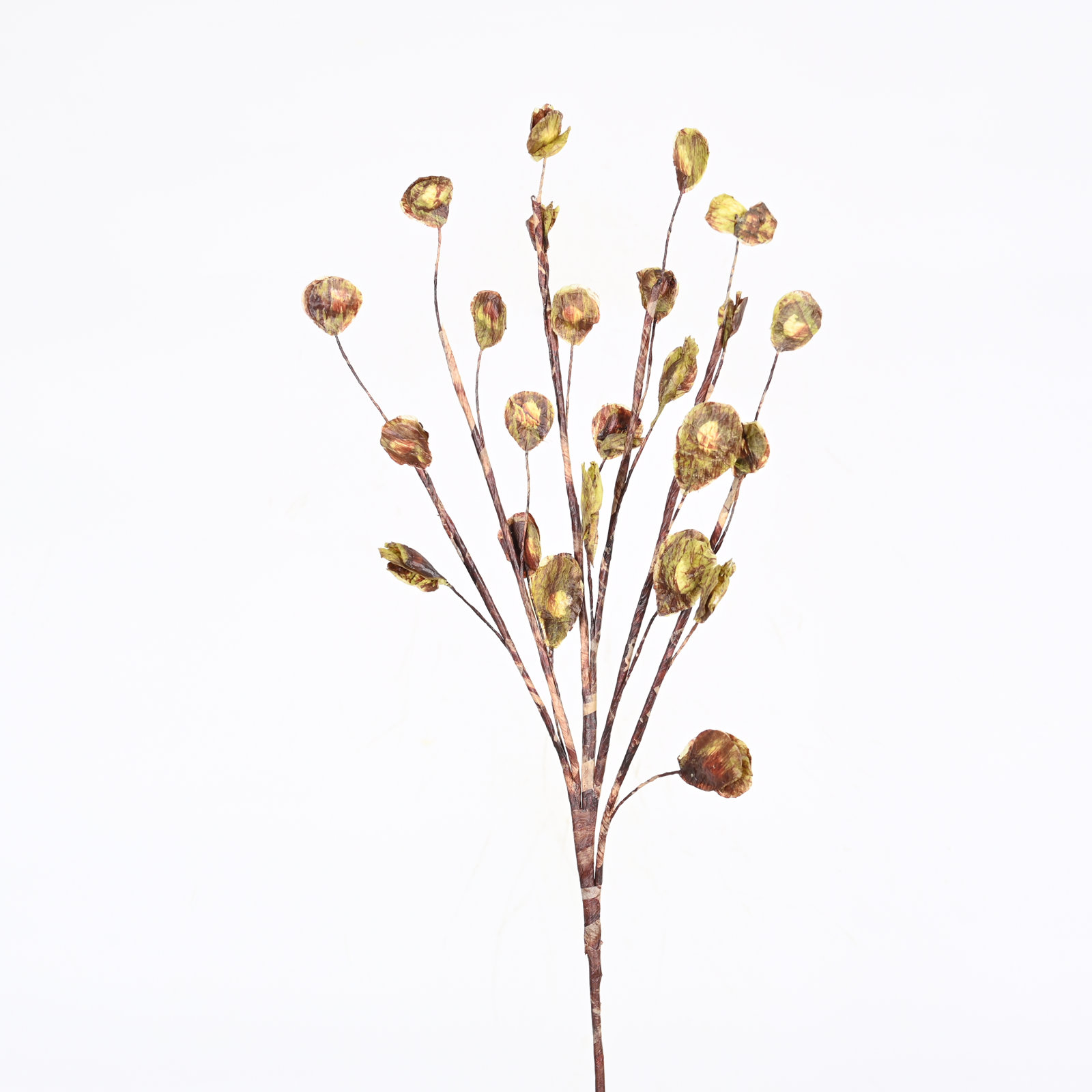 Foliage Blossom Stems, Green