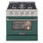 Pro-Style 30 in. 4.2 cu. ft. 4-Burner Freestanding Gas Range with Convection Oven-94094669-50147959