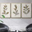 Bronze Leaf I - ensemble de 3 reproductions de photos sur toile-97757256-97757259