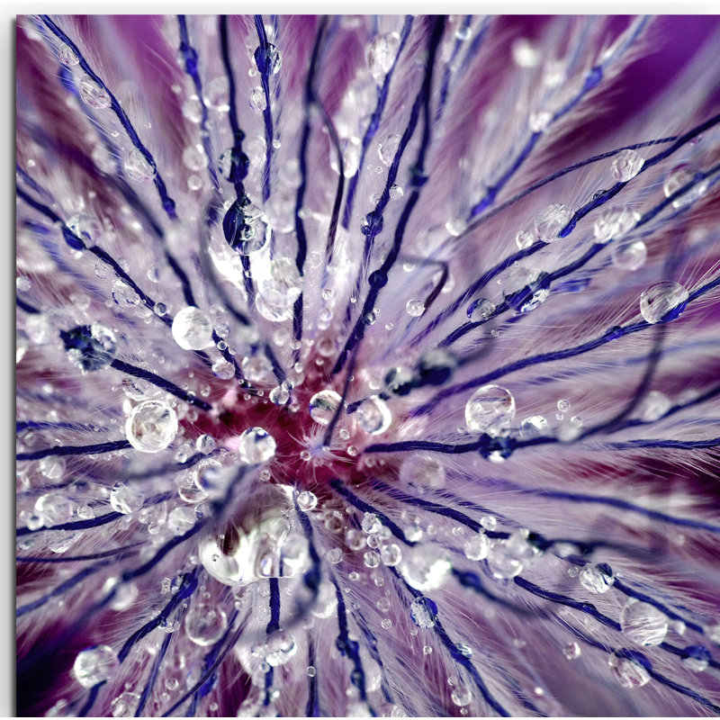 Sinus Art - Wrapped Canvas Print