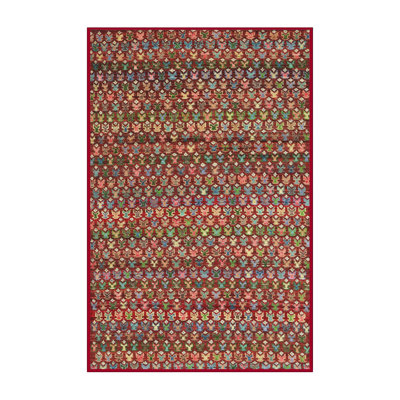 Indoor Rug