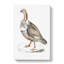 Pheasant Grouse Illustration by John Edward Gray - Wrapped Canvas-55366430