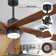 Athanafis Ceiling Fan with LED Lights