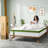 BedStory 8-Layer Medium Firm Hybrid Mattress with Gel Memory Foam & Convoluted Support - Fiberglass-Free, CertiPUR-US/OEKO-TEX, Dual-Zone Coils-601444912-588697114