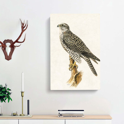 Gyrfalcon by Von Wright - Wrapped Canvas