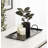 Metal Tray