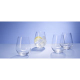 Ovid 14 oz. Whiskey Glass