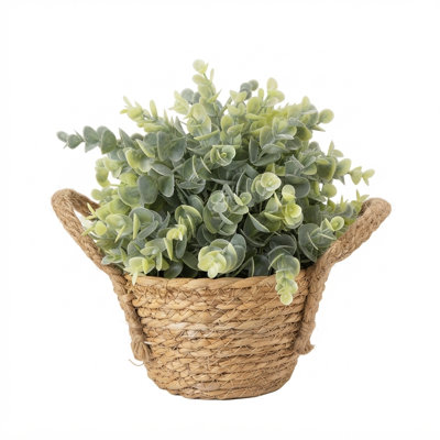 Eucalyptus artificiel dans un panier de ruppie maritime