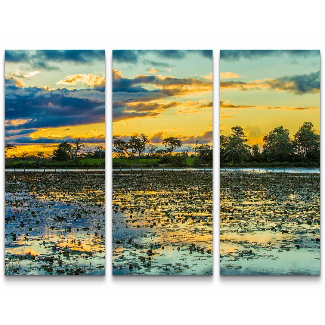 3-tlg. Leinwandbilder-Set Farbenfroher Sonnenaufgang im Pantanal Sumpf