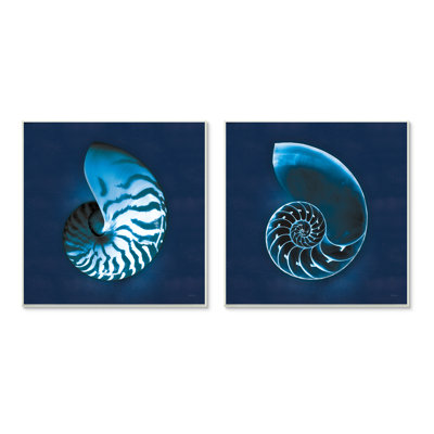 «Blue Spiral Nautilus Shell» par Sue Schlabach - ensemble de 2 reproductions d'impressions