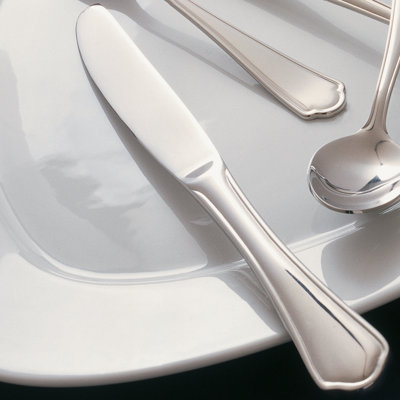 Baitz Stainless Steel Dinner Knife