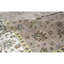 Oriental Area Rug in Light Pink/Ivory