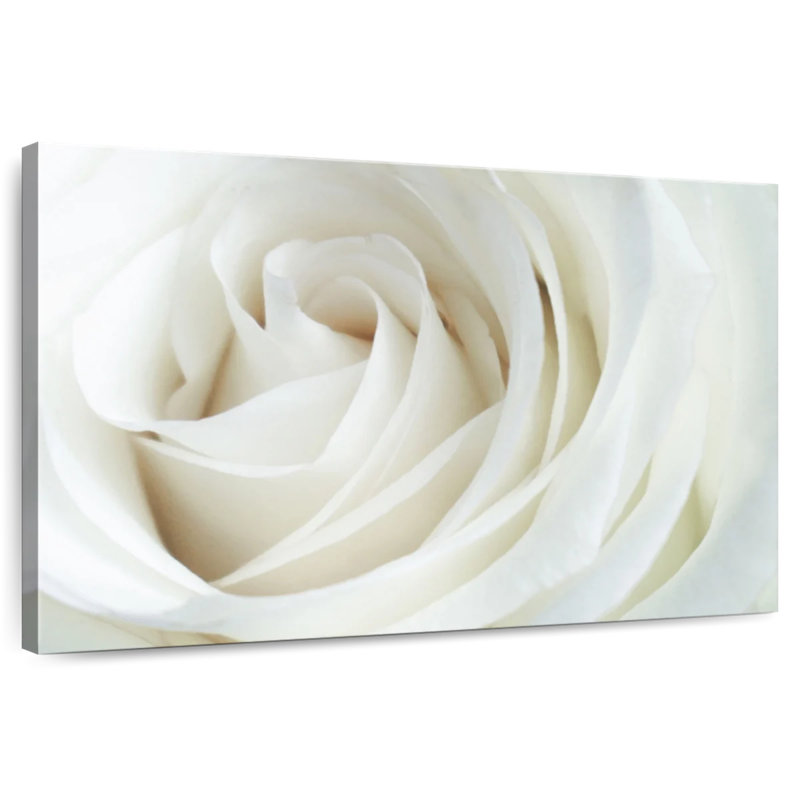 Rose en soie Harnek, H 30 po x l 45 po